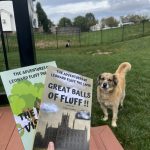 557680312_1474977323759114_5390179525738408619_n